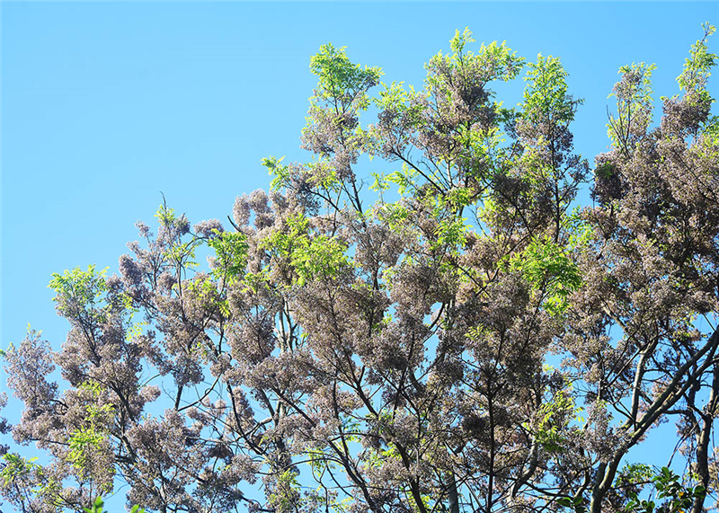 20240227171536_77432 20240227171536_77432