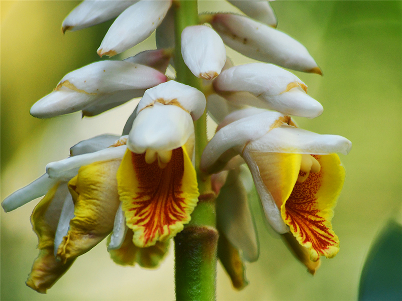 20240227171704_44765 20240227171704_44765