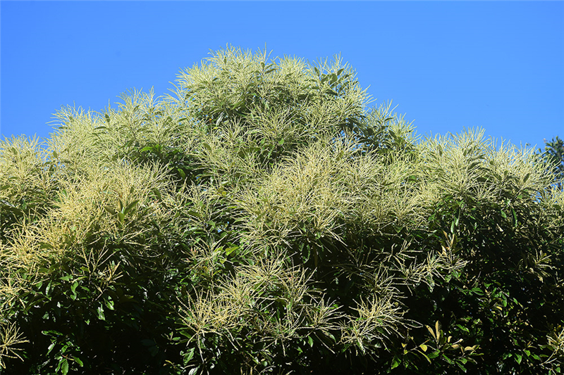 20240227172216_78882 20240227172216_78882