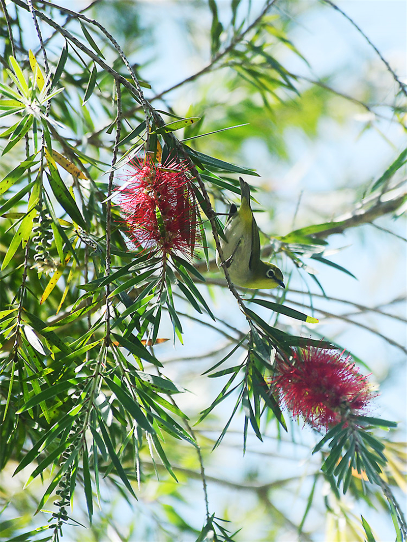 20240227171911_83905 20240227171911_83905