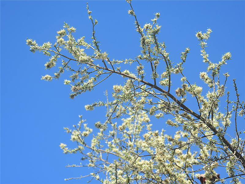 20240227172053_41534 20240227172053_41534