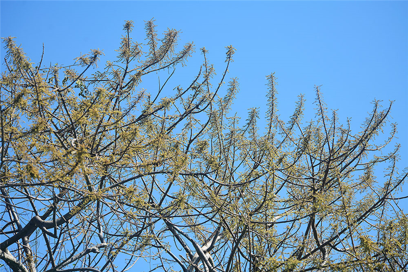 20240227171830_74646 20240227171830_74646