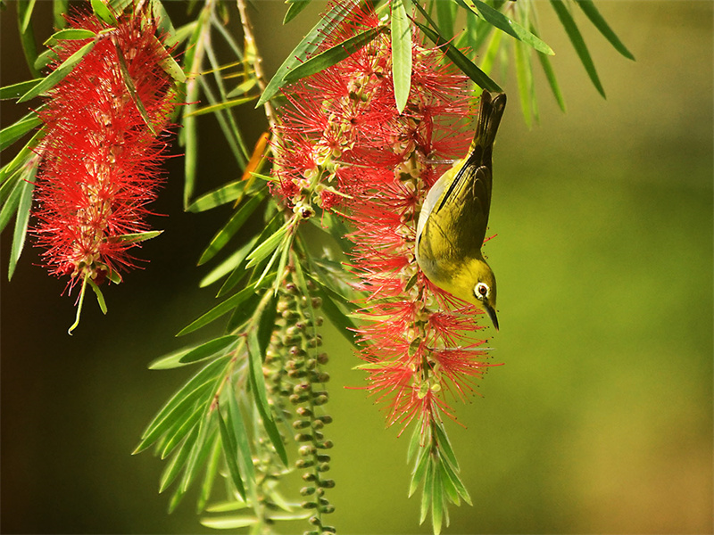 20240313220532_42948