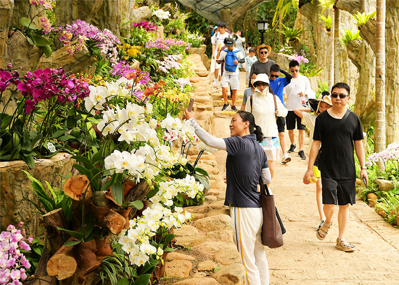 20240501171358_80194 20240501171358_80194