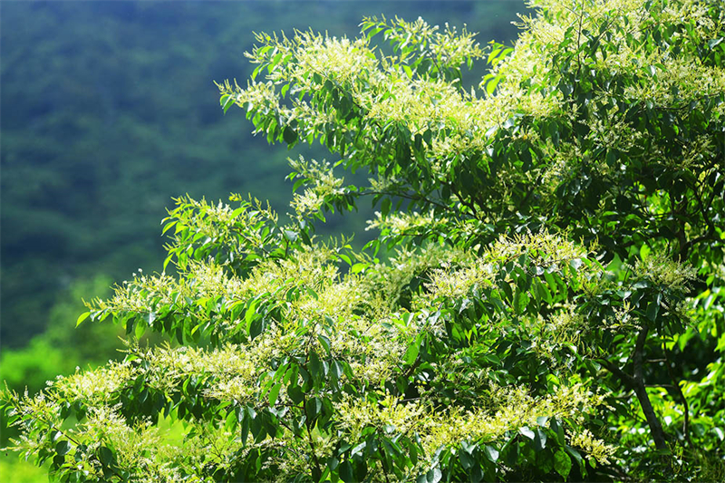 20240612232052_73317 20240612232052_73317