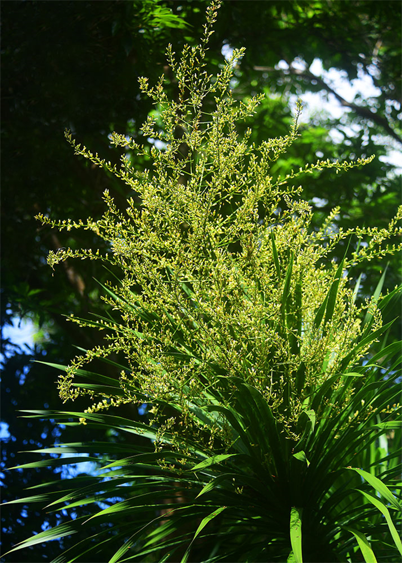 20240612232213_35417 20240612232213_35417