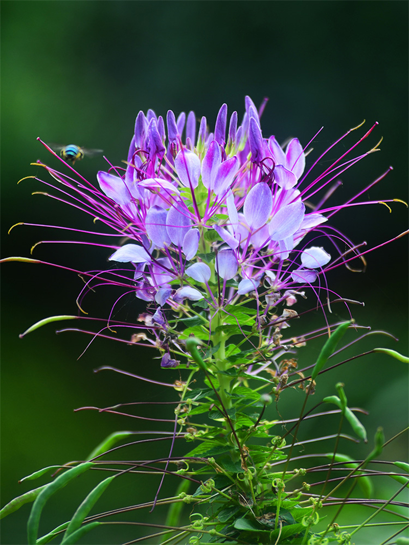 20240612232301_75370 20240612232301_75370