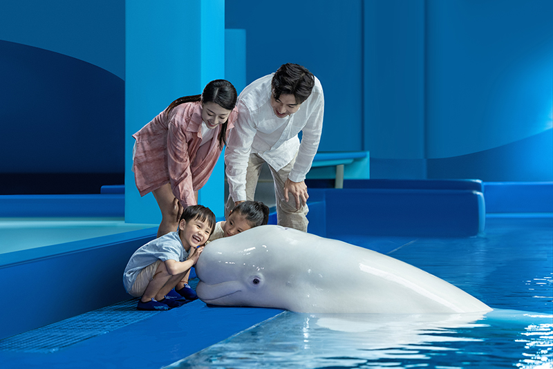 Beluga Photo Fun探班白鯨明星 (3) Beluga Photo Fun探班白鯨明星 (3)