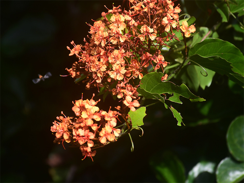 20240826165759_67743 20240826165759_67743