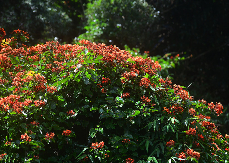 20240826165920_72753 20240826165920_72753