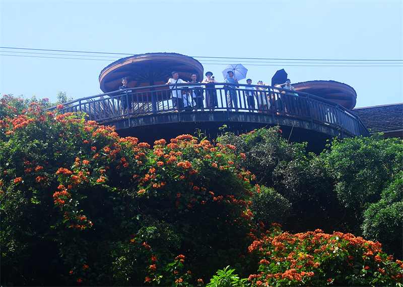 20240826165935_32688 20240826165935_32688