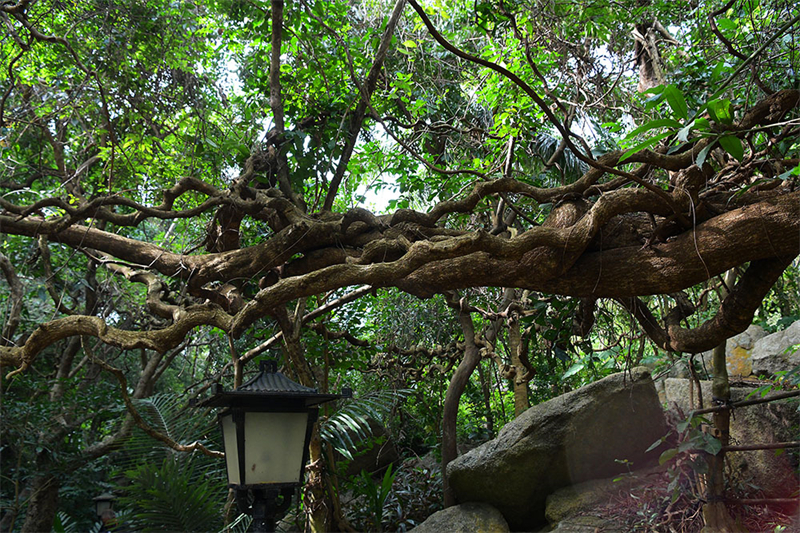 20241218221716_75958 20241218221716_75958