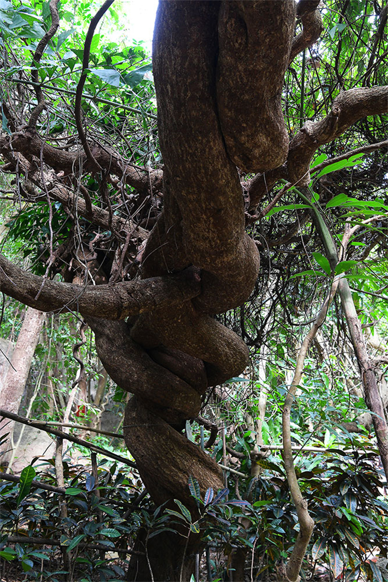 20241218221828_18642 20241218221828_18642