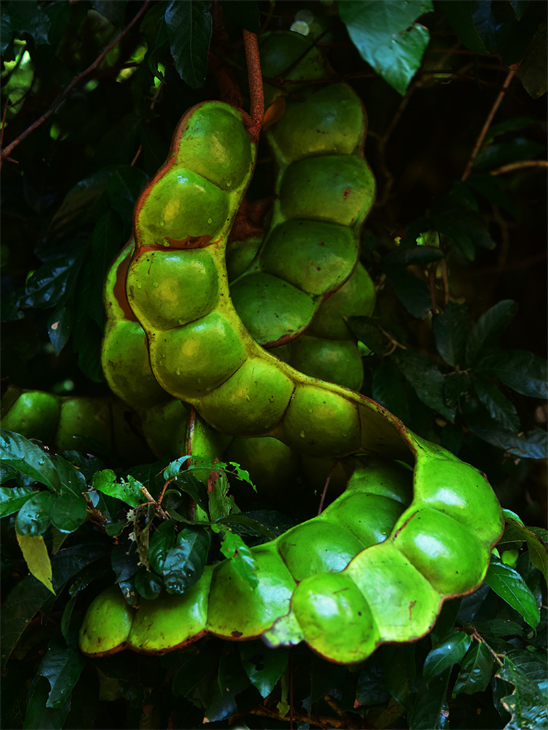 20241218221949_90014 20241218221949_90014