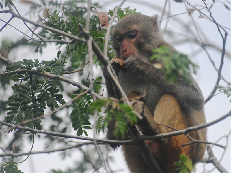 20241224160836_18089