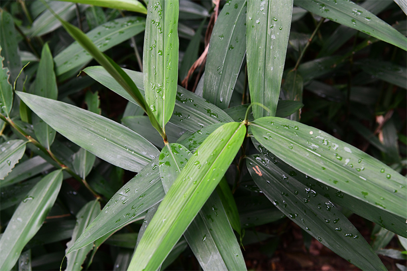 20241231170254_30570 20241231170254_30570