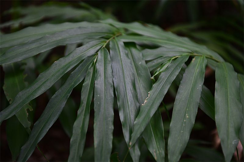 20241231165229_83229 20241231165229_83229