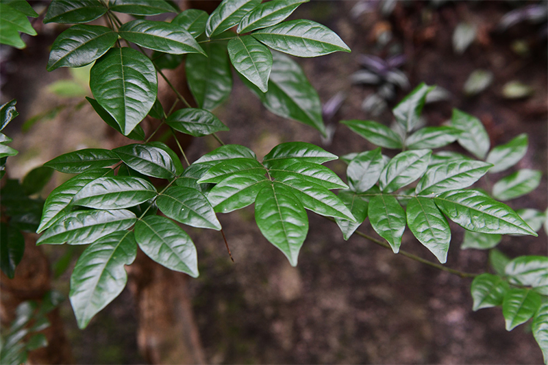 20241231164721_12572 20241231164721_12572