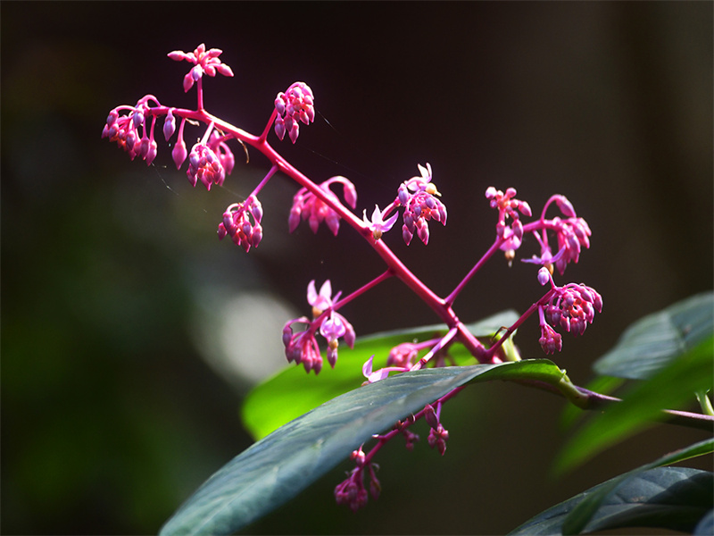 20250305211236_22625 20250305211236_22625