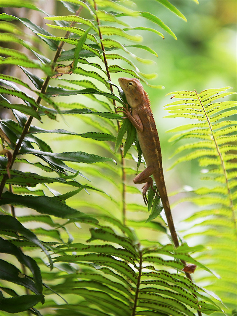 20250305211312_20343 20250305211312_20343